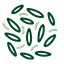 Overseeding Icon