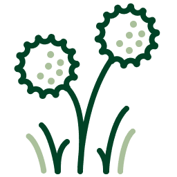 LAWN DISEASE Icon